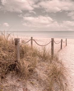 Beach Cottage Dunes Trail