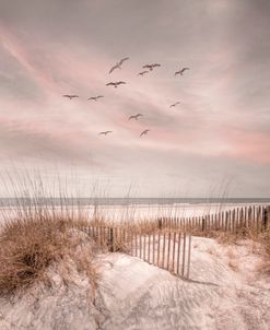 Beach Fences on the Cottage Sand Dunes in Square