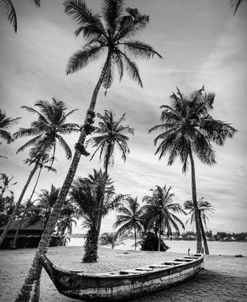 Old Canoe Under the Palms Black and White