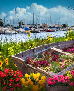 Wildflowers Rowboat in the Harbor