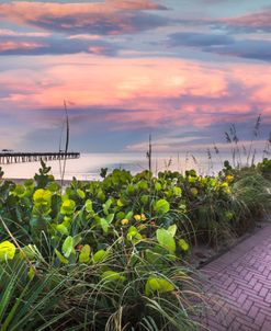 Beach Walk into Sunrise