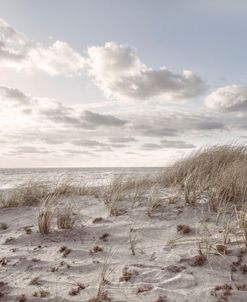 Whispering Wind on the Beachhouse Dunes