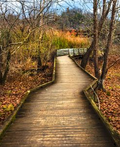 Autumn Morning Mystery