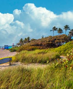 Lifeguard Stand in the Dunes Panorama