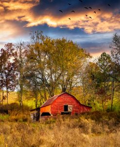 Barn Under Sunrise Skies