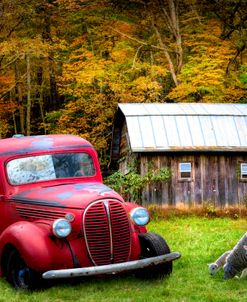 Big Red on the Farm