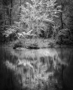 White Autumn River