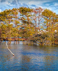 Marshy Fall Reflections