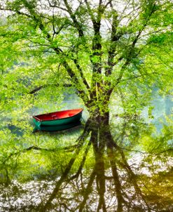 Peaceful River after the Rain