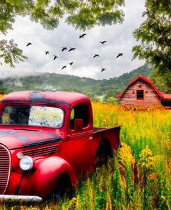 Red Truck in the Farm Meadow