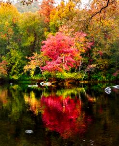 Reflecting the Reds of Autumn