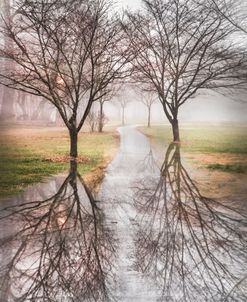 Evening Walk in the Rain