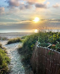 Trail into Sunshine