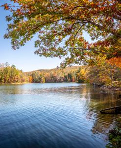 Autumn Trees at the Lake’s Edge in Square