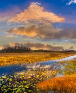 The Everglades Sunset