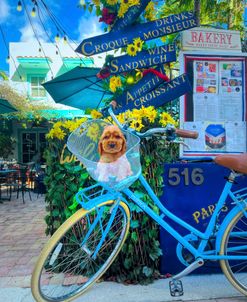 Blue Bike At The Bakery