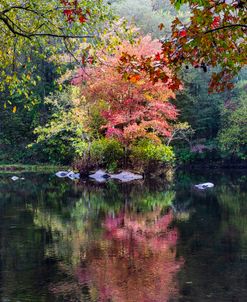 Autumn Dressed In Red