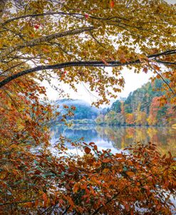 Leaning into the Autumn Lake Colors