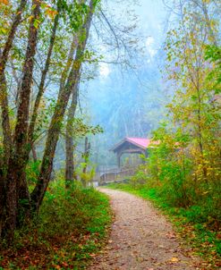 Covered Bridge along the Trail