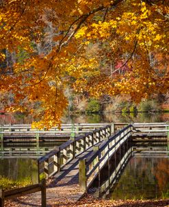 Fishing Dock under the Maple Trees