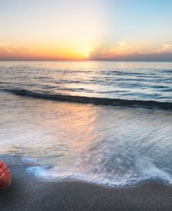 Waves and Shells I