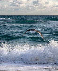 Sailing over the Crashing Waves