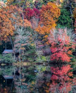 Cabin Nestled In Autumn Colors At The Lake