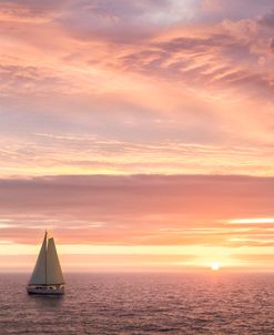 Sailing Under Sunset Skies