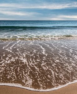 White Lace at the Shore I