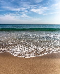 White Lace at the Shore II