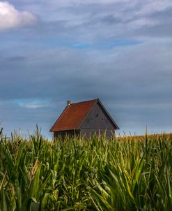 Red Roof Country Barn