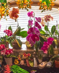 Orchids in the Kitchen Window Painting