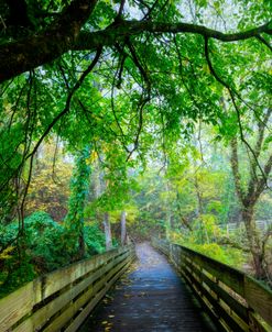 River Walk Embrace