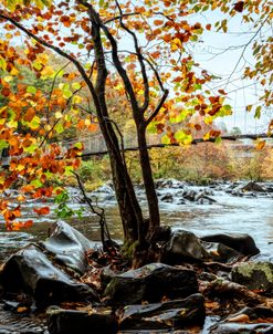 Suspension Bridge over the Cheoah River