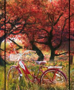Country Bicycle