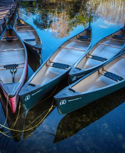 Canoes Floating at the Dock