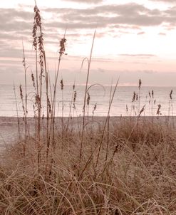 Early Morning Cottage Dunes