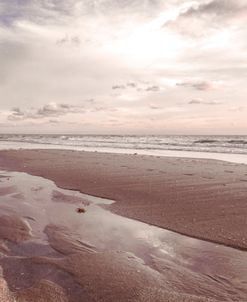 Seashore Walk at Cottage Dawn