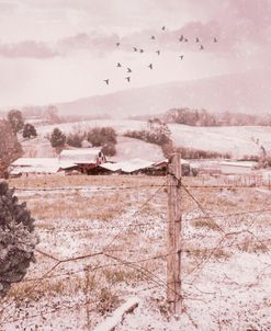 Peaceful Christmas Eve Farm