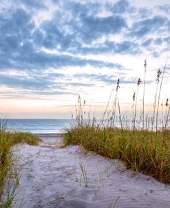 Soft Sunrise Dunes