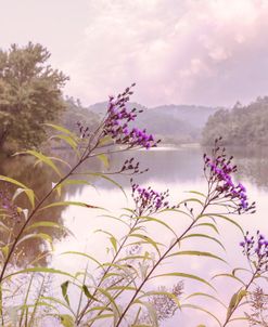 Wildflowers on the Lakeshore Cottage Hues