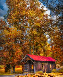 Pumpkin Time in Autumn