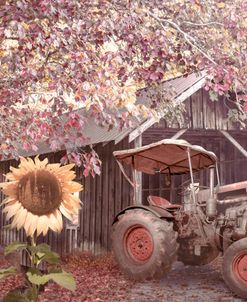 Vintage Tractor at the Country Barn