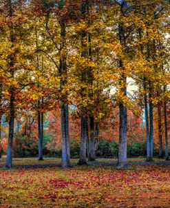 River Walk Autumn Panorama