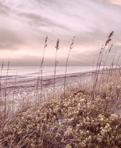 Salty Coastal Cottage Breezes