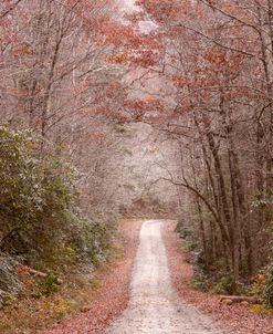 Discover the Country Backroads of the Smoky Mountains