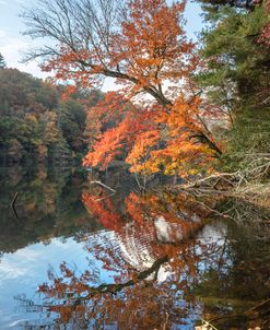 Autumn Fire at the Lake Vogle State Park