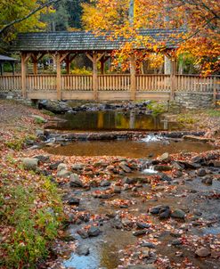 Covered Bridge Trail at Vogel State Park