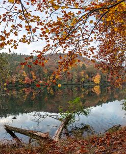 The Hiking Path at the Lake Vogel State Park