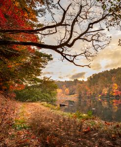 Autumn Path Leading to the Dam